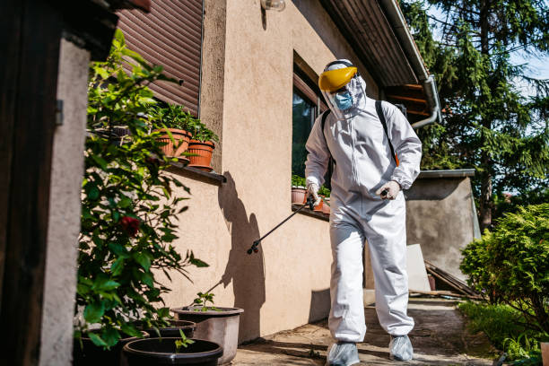 Best Pest Control Cost  in Bawcomville, LA