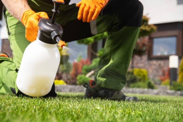 Best Affordable Pest Control Services  in Bawcomville, LA
