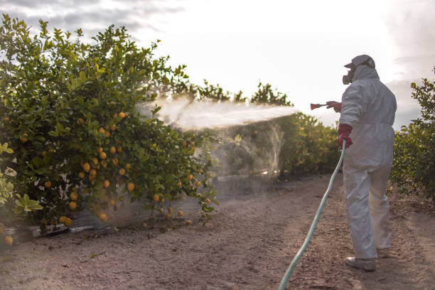Pest Control Cost in Bawcomville, LA