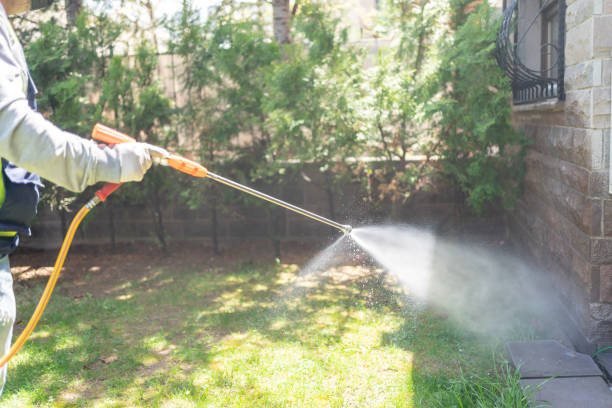 Best Affordable Pest Control Services  in Bawcomville, LA