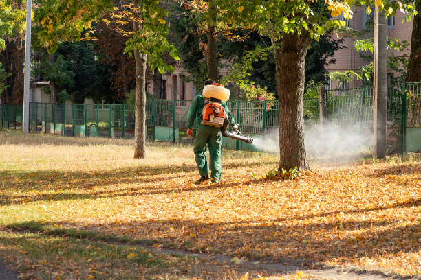 Best Pest Removal Services  in Bawcomville, LA