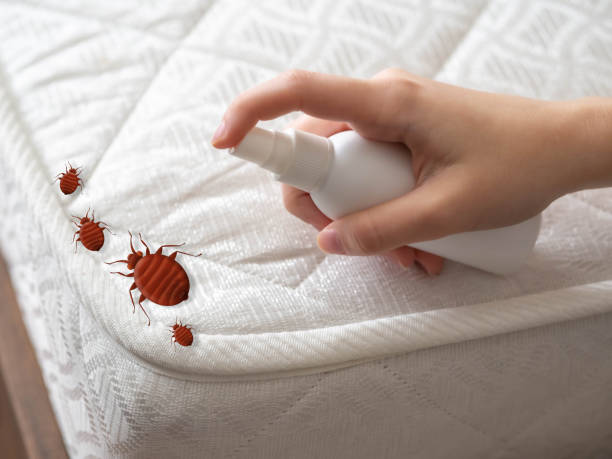 Professional Pest Control in Bawcomville, LA