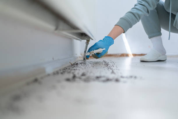 Trusted Bawcomville, LA Pest Control Experts
