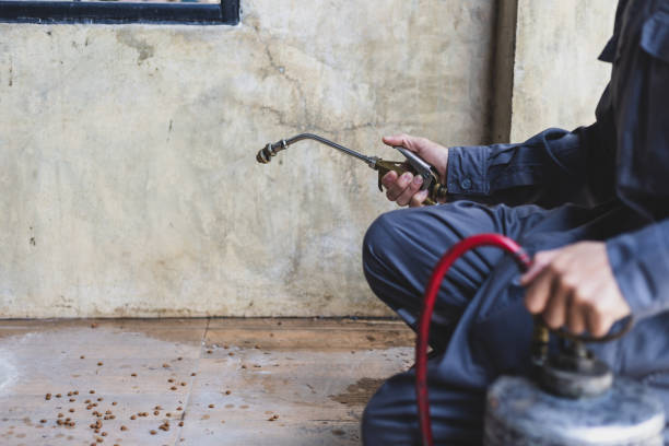 Best Exterminator Services  in Bawcomville, LA